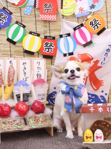 20240727くうくん